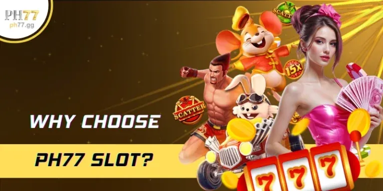 thomo999 link mới cho người mới bắt đầu