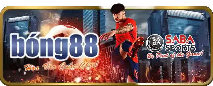 Chương trình VIP Thomo999